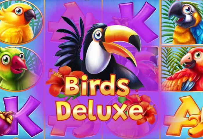 Cazimbocasino – Offizielle Webseite des Online Casinos